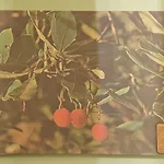 D'aqui E D'acola - Couette-café 3*