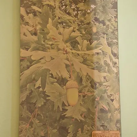 Bed & Breakfast D'aqui E D'acola - 3*