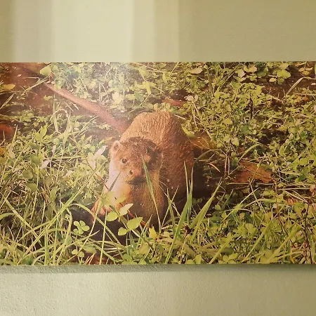 D'aqui E D'acola - Bed and Breakfast