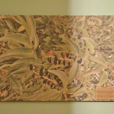 D'aqui E D'acola - 3*