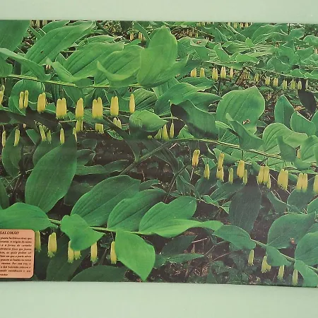 Bed & Breakfast D'aqui E D'acola -