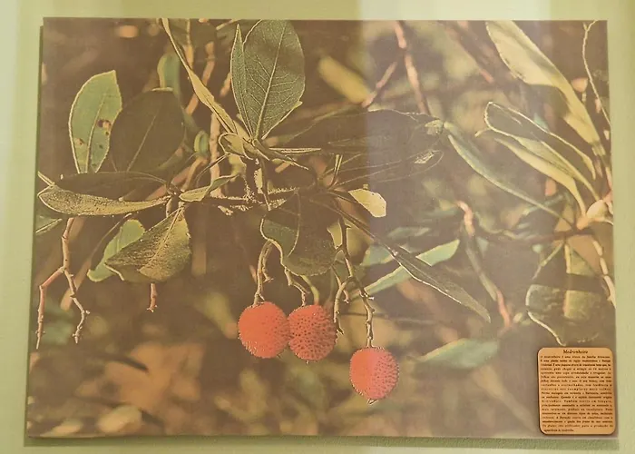 D'aqui E D'acola - 住宿加早餐酒店 3*