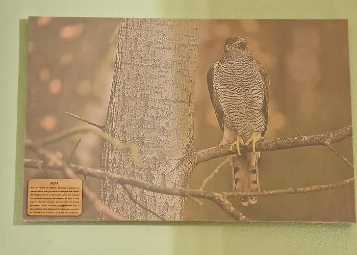 D'aqui E D'acola - 住宿加早餐酒店 Pardieiros (Arganil)