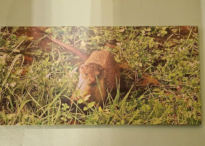 D'aqui E D'acola - 住宿加早餐酒店