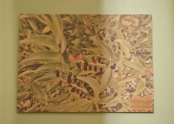 D'aqui E D'acola - 3*