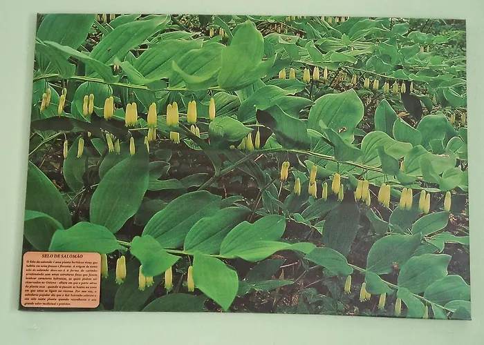 住宿加早餐酒店 D'aqui E D'acola -